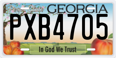 GA license plate PXB4705