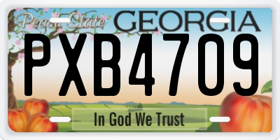 GA license plate PXB4709