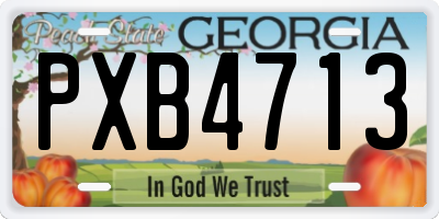 GA license plate PXB4713