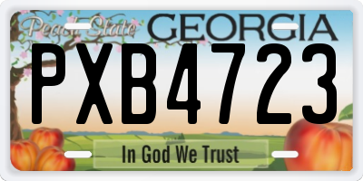 GA license plate PXB4723