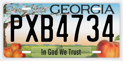 GA license plate PXB4734