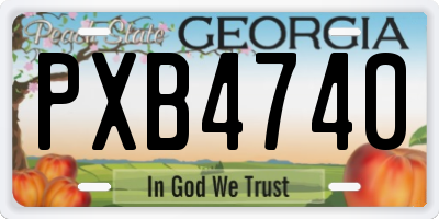 GA license plate PXB4740