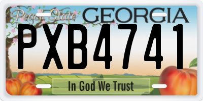 GA license plate PXB4741