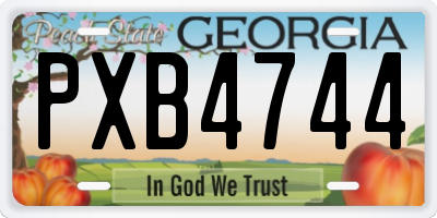 GA license plate PXB4744