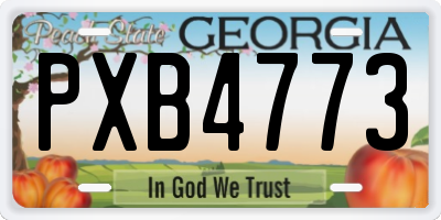 GA license plate PXB4773