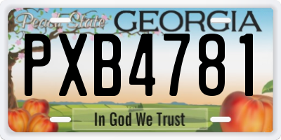 GA license plate PXB4781