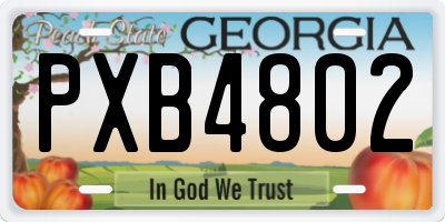 GA license plate PXB4802