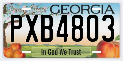 GA license plate PXB4803