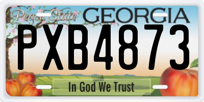 GA license plate PXB4873