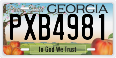 GA license plate PXB4981