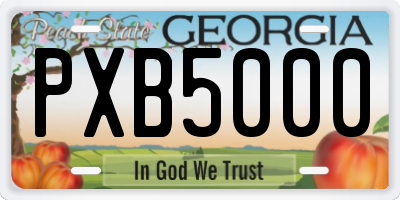GA license plate PXB5000
