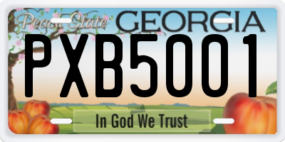GA license plate PXB5001