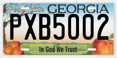 GA license plate PXB5002