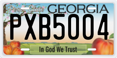 GA license plate PXB5004