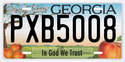 GA license plate PXB5008