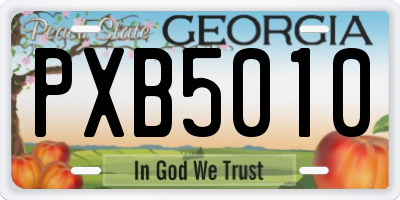 GA license plate PXB5010