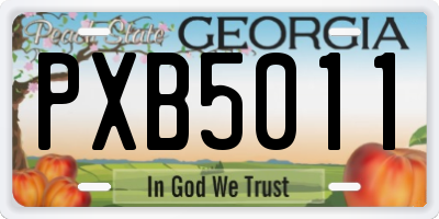 GA license plate PXB5011