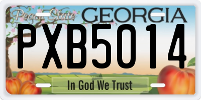 GA license plate PXB5014