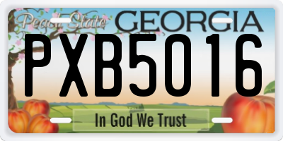 GA license plate PXB5016