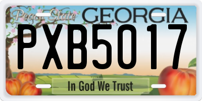 GA license plate PXB5017