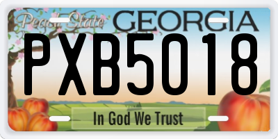 GA license plate PXB5018