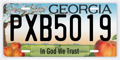 GA license plate PXB5019
