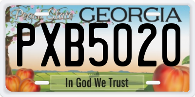 GA license plate PXB5020