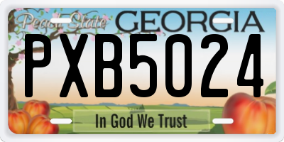 GA license plate PXB5024