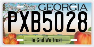GA license plate PXB5028