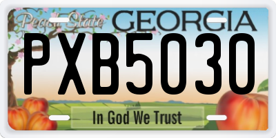 GA license plate PXB5030