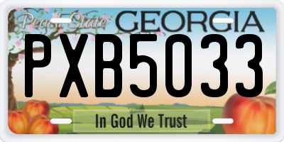 GA license plate PXB5033