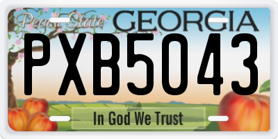 GA license plate PXB5043