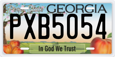 GA license plate PXB5054