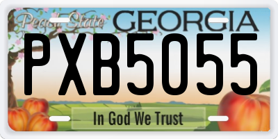GA license plate PXB5055