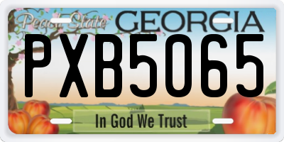 GA license plate PXB5065