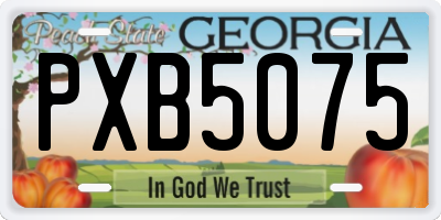 GA license plate PXB5075