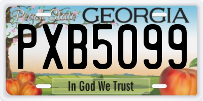 GA license plate PXB5099