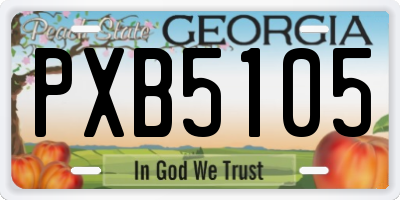 GA license plate PXB5105