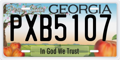 GA license plate PXB5107