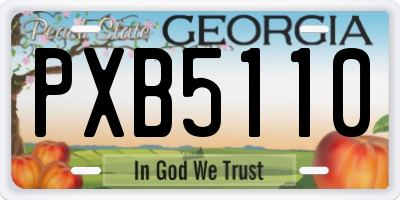 GA license plate PXB5110