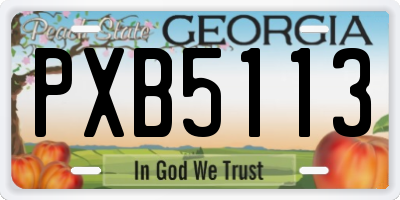 GA license plate PXB5113