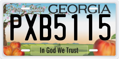 GA license plate PXB5115