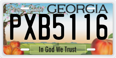 GA license plate PXB5116