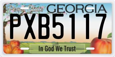 GA license plate PXB5117