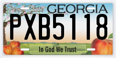 GA license plate PXB5118