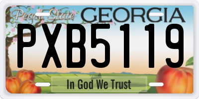 GA license plate PXB5119