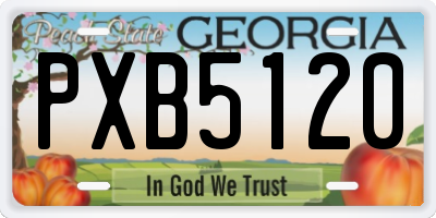 GA license plate PXB5120