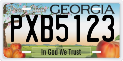 GA license plate PXB5123
