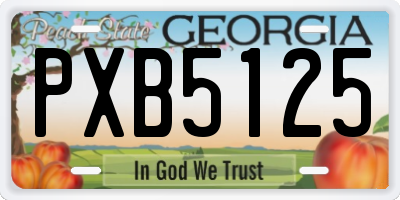 GA license plate PXB5125