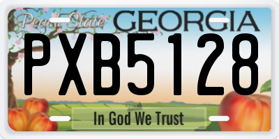 GA license plate PXB5128